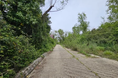 entree parc hermitage lormont chemin beton.