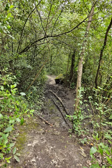 parc hermitage lormont chemin randonne boue.